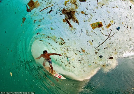 Surfing entre plásticos